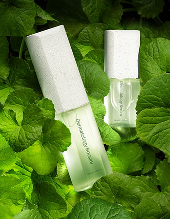 ICD Dermatology First Package – Incellderm